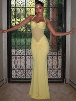 Lily Mesh Dress